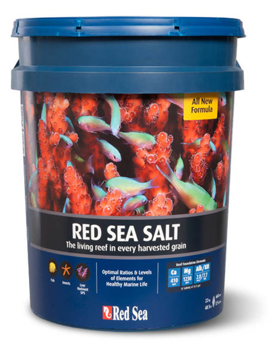 Red Sea Salt