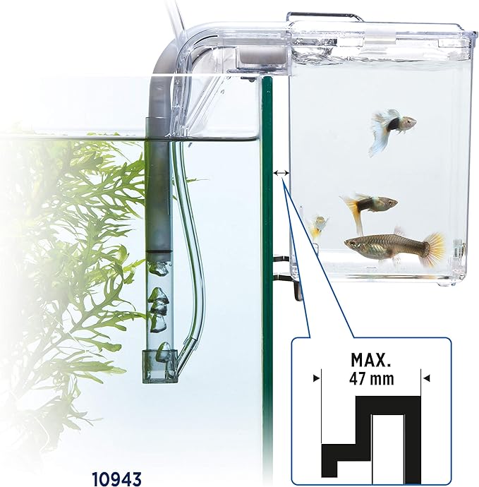 Fluval Hang-on Breeding Box