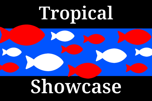 Tropical Showcase