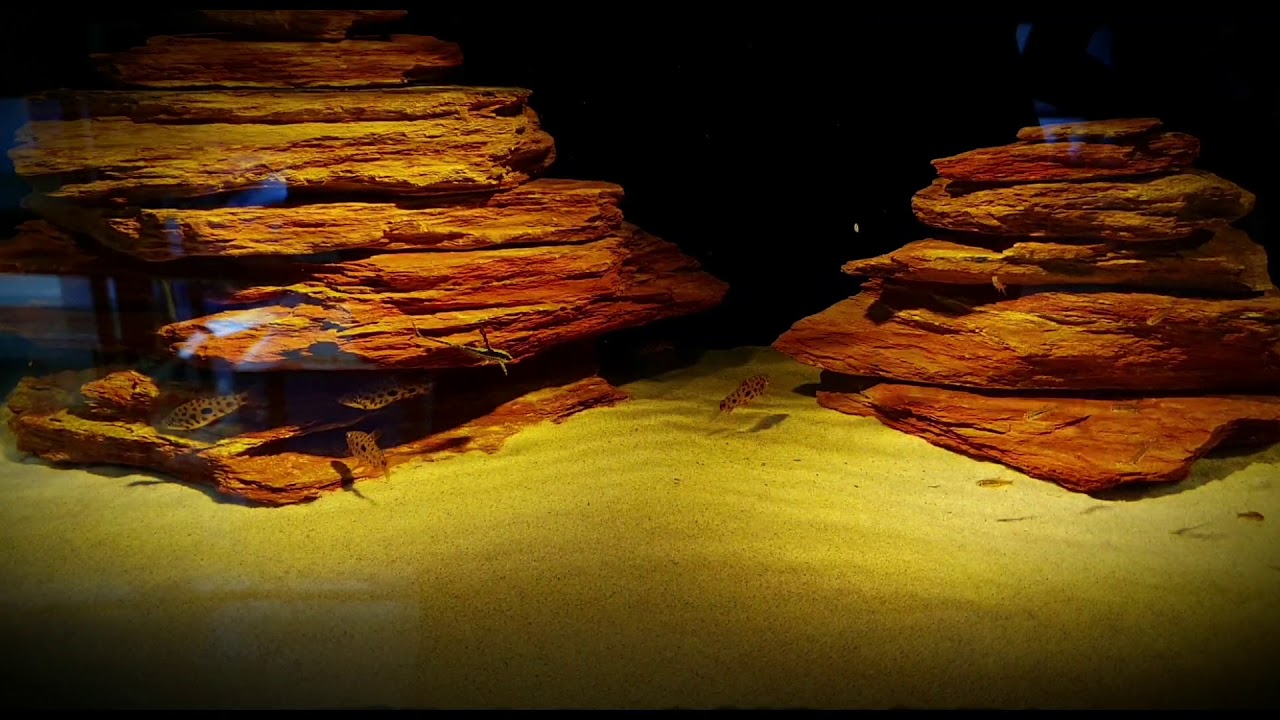 Nature's Rock Hawaiian Sunset Aquarium Stone