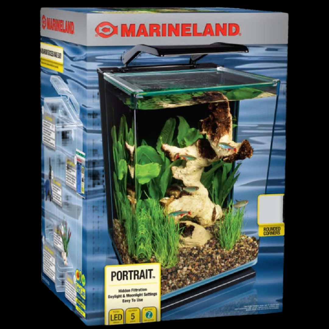 Marineland Portrait Aquarium Kit 5 Gallon – Tropical Showcase