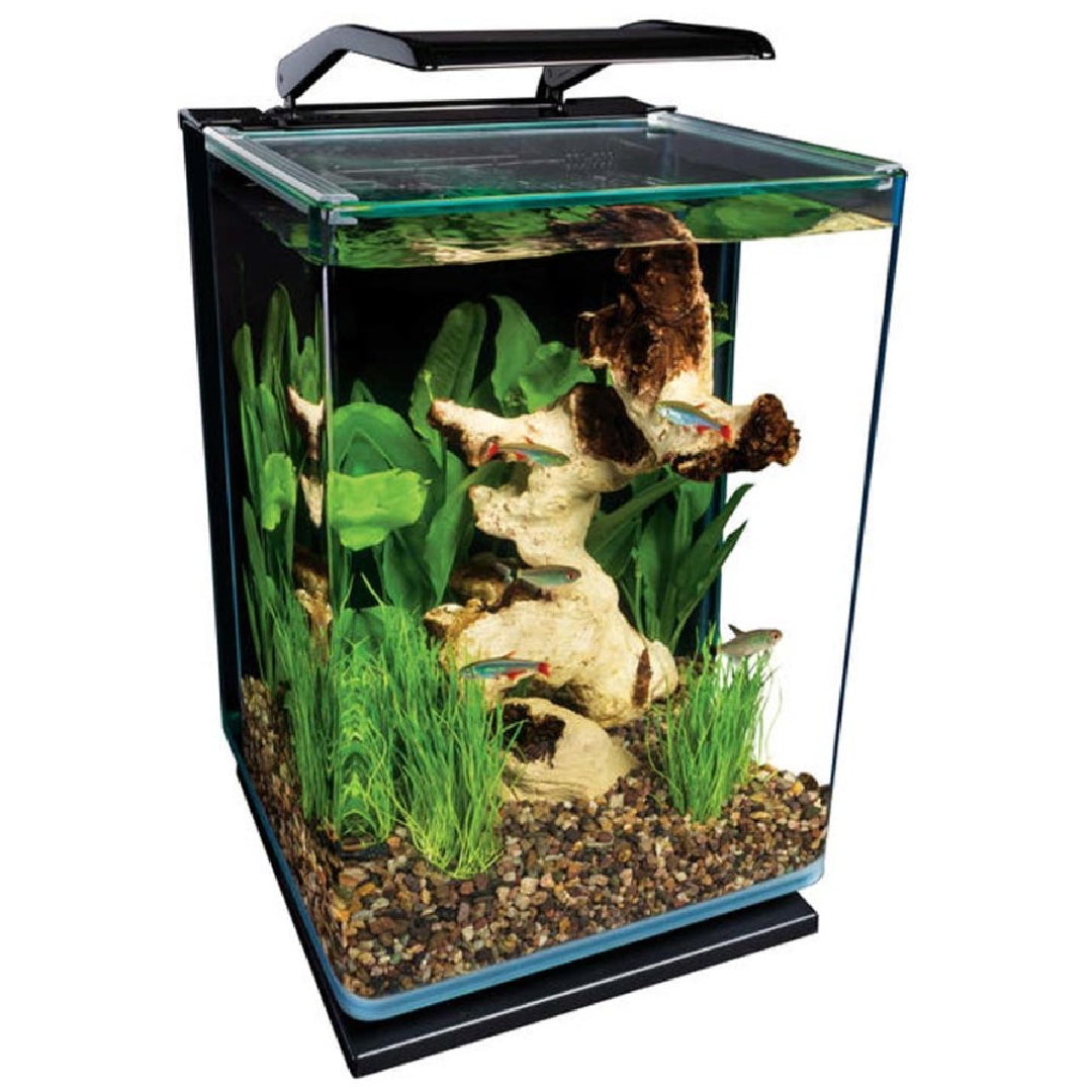 Marineland Portrait Aquarium Kit 5 Gallon - GLO