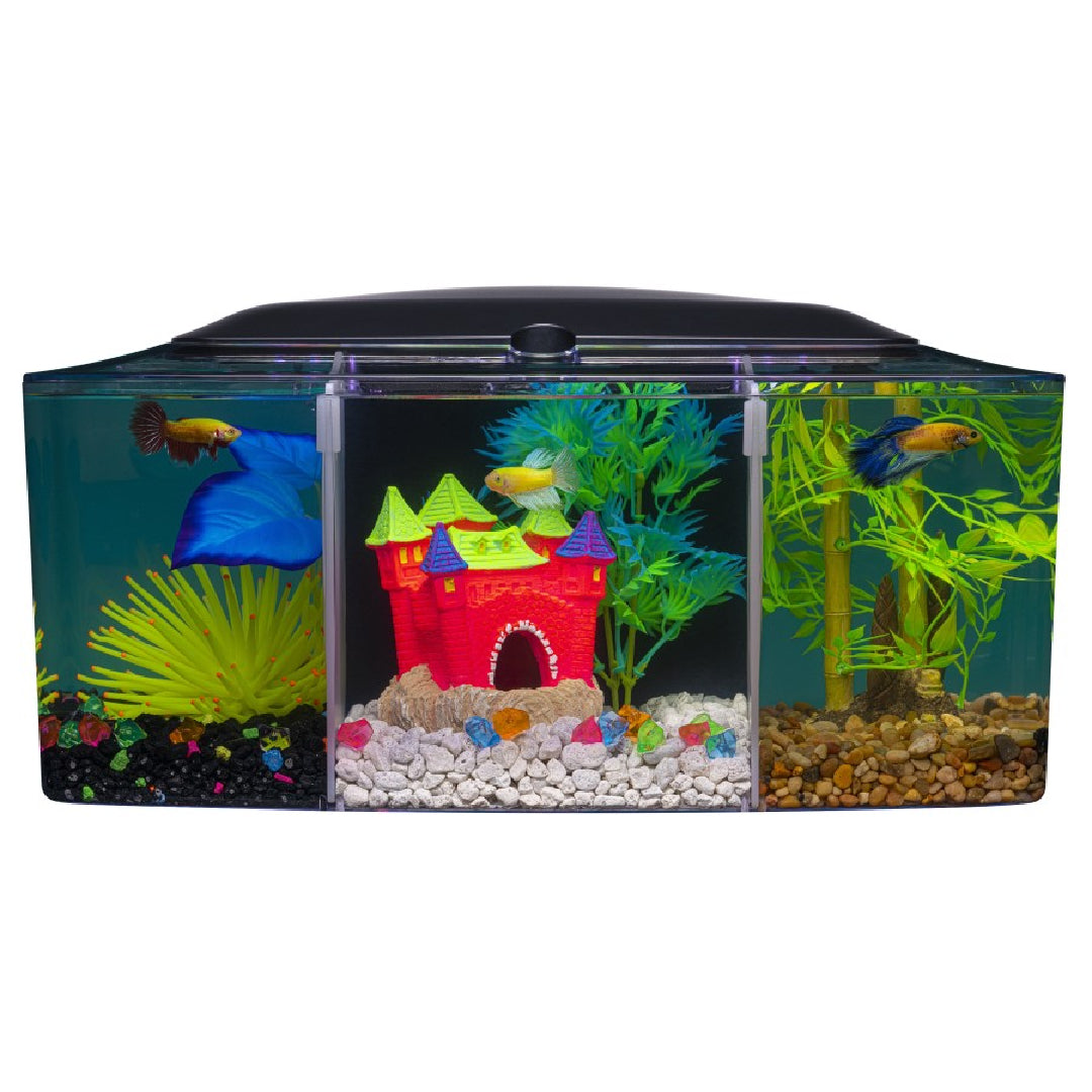 GloFish Betta Trilogy Aquarium 3 gallon