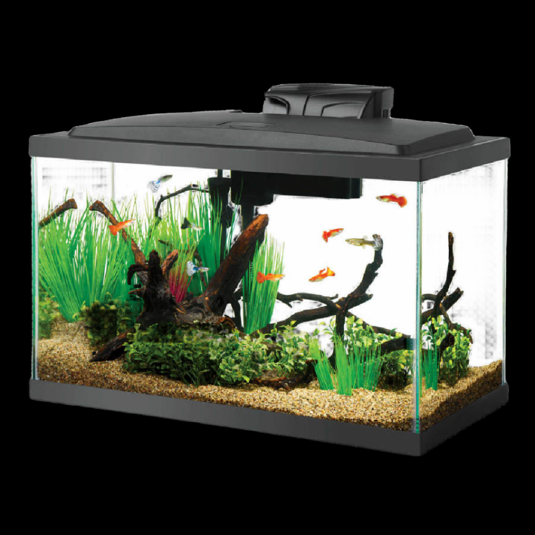 aqueon fish tank accessories Aqueon Starter Kit LED – Tropical Showcase