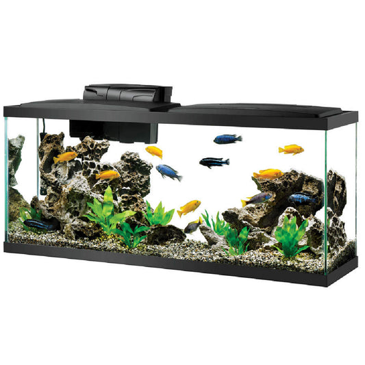 Aqueon Pre-Priced Starter Kit LED Aquarium Kit