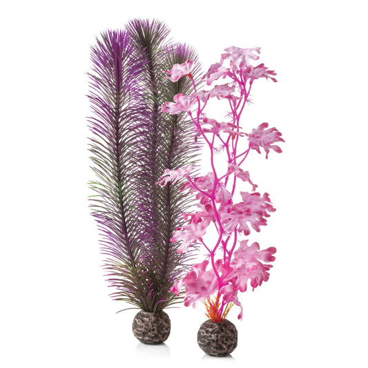 Oase Deco Kelp Set Pink - Medium - 2pack