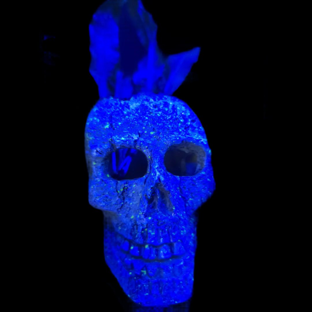 On Decor - "Plant Skellington"