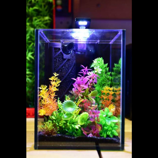 Display (Cycled) - Aquatop Venti Aquarium - 1 Gallon