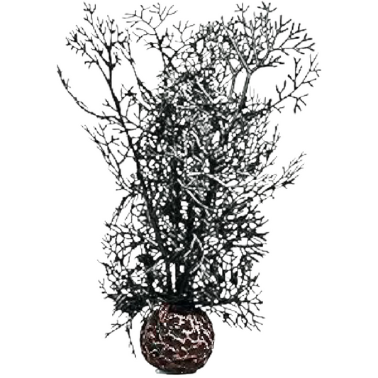 Oase Deco Sea Fan Black Small