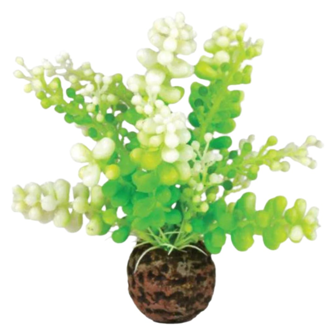 Oase Deco Caulerpa Green Small