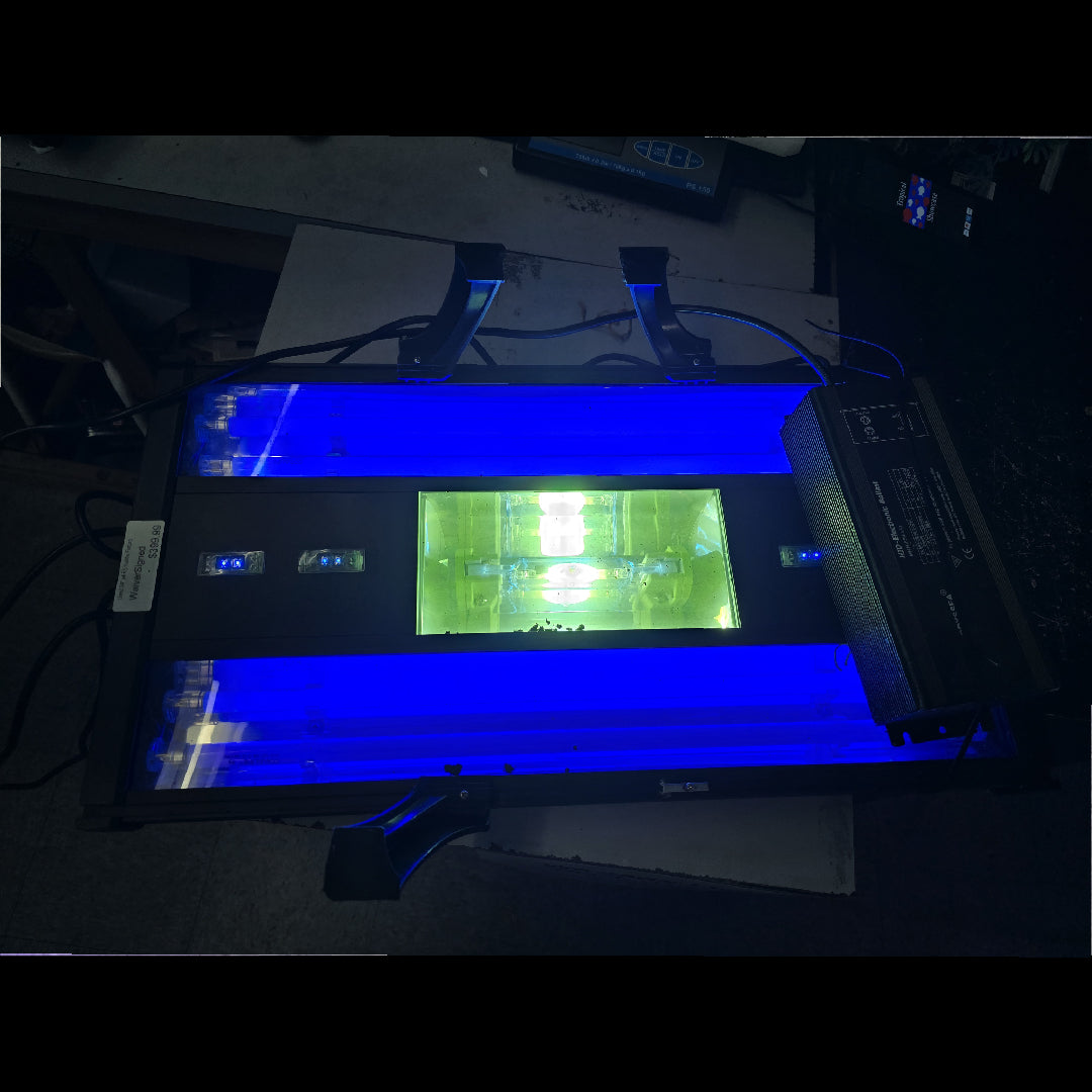 Used - T5x4 & Halide Fixture 24"