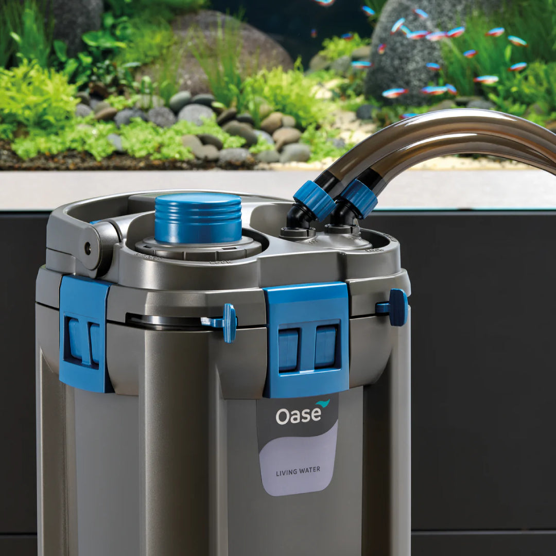 Oase BioMaster 2 Thermo 250 + Built-in Heater