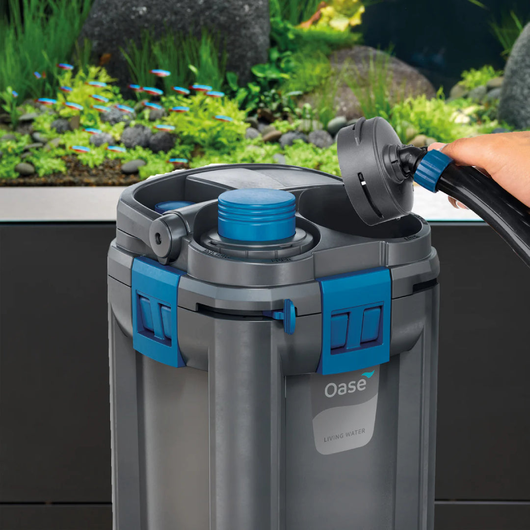 Oase BioMaster 2 Thermo 250 + Built-in Heater