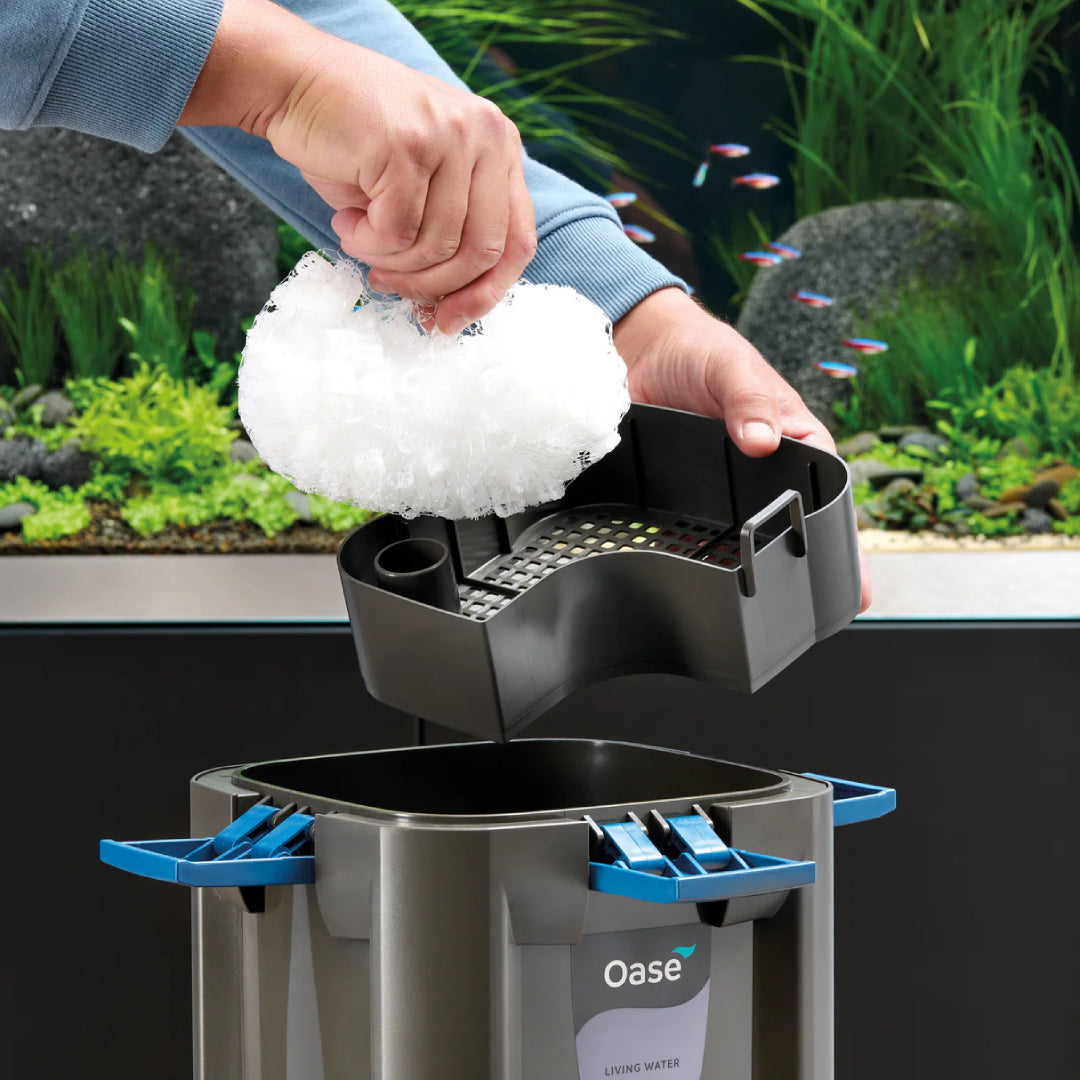 Oase BioMaster 2 Thermo 250 + Built-in Heater