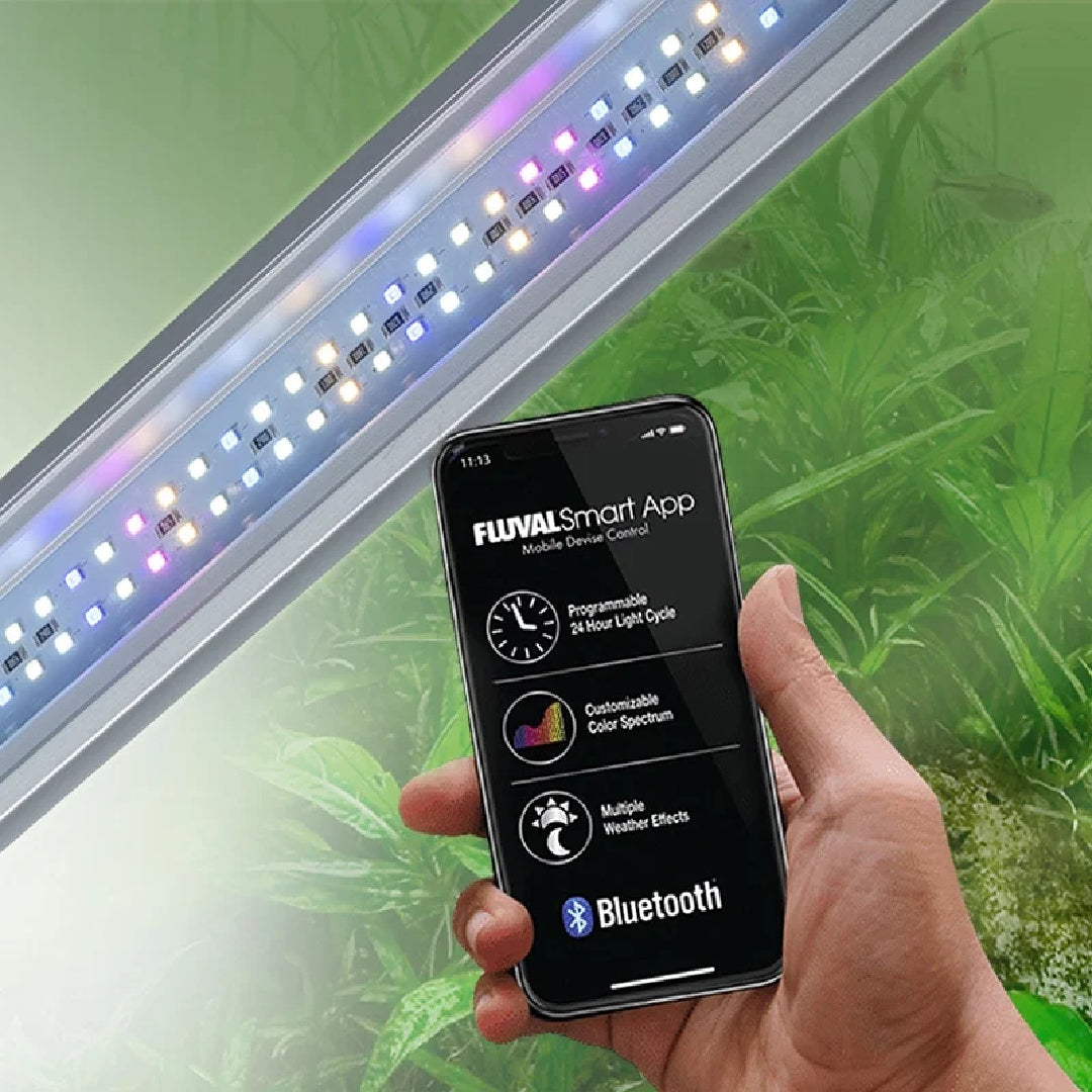 Fluval Siena Aquarium Kit 72gal