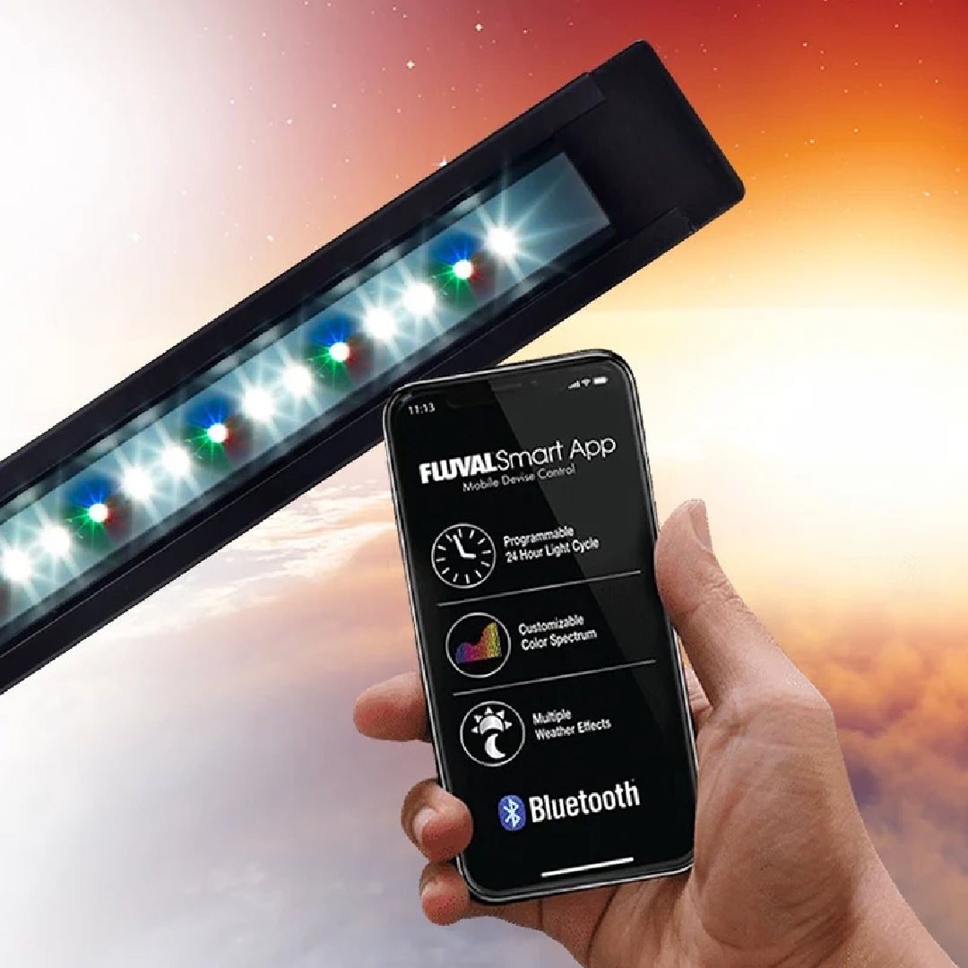 Fluval Shaker Aquarium - Stand - 66 US Gal