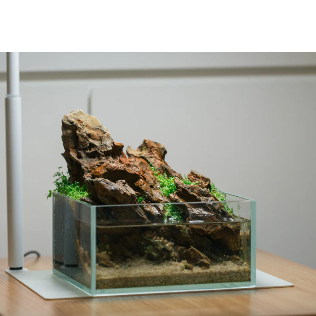 CaribSea Exotica Fire Stone