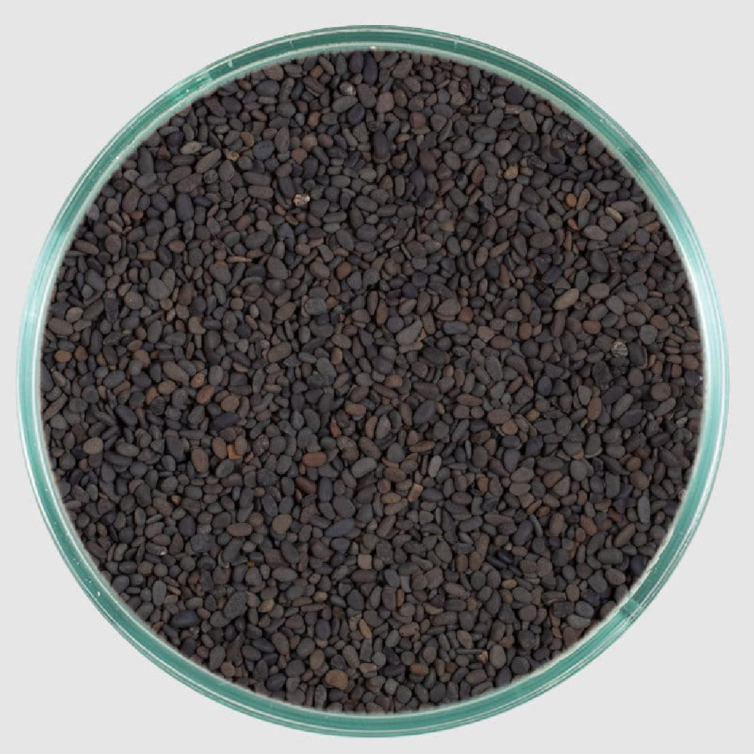 CaribSea Substrate - Midnight River