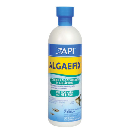 API AlgaeFix