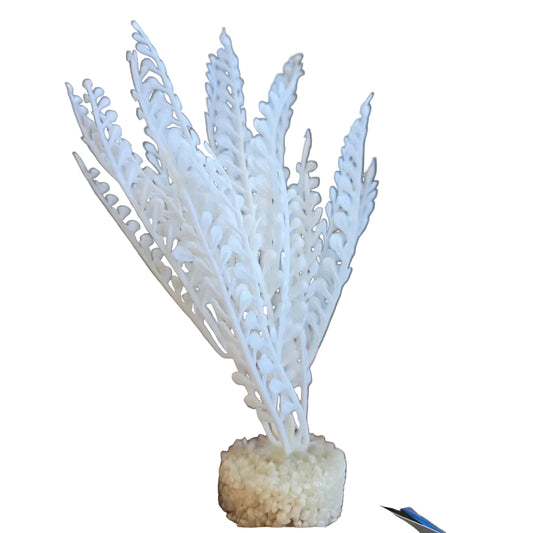 Blue Ribbon Color Burst Florals Dragon's Tongue Plant