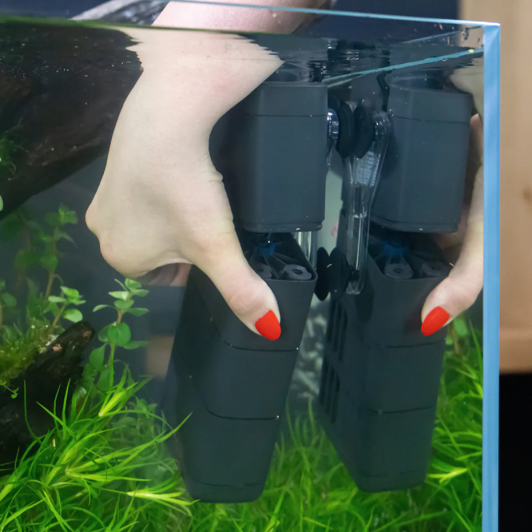 Oase EcoFlow 60