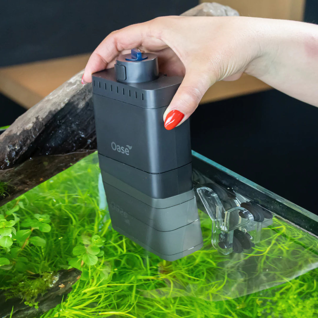 Oase EcoFlow 60