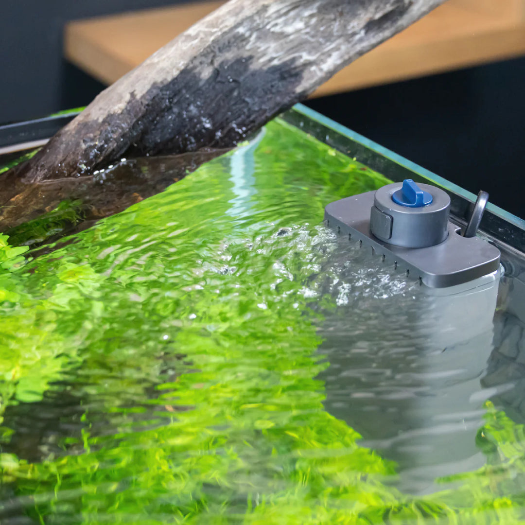 Oase EcoFlow 60