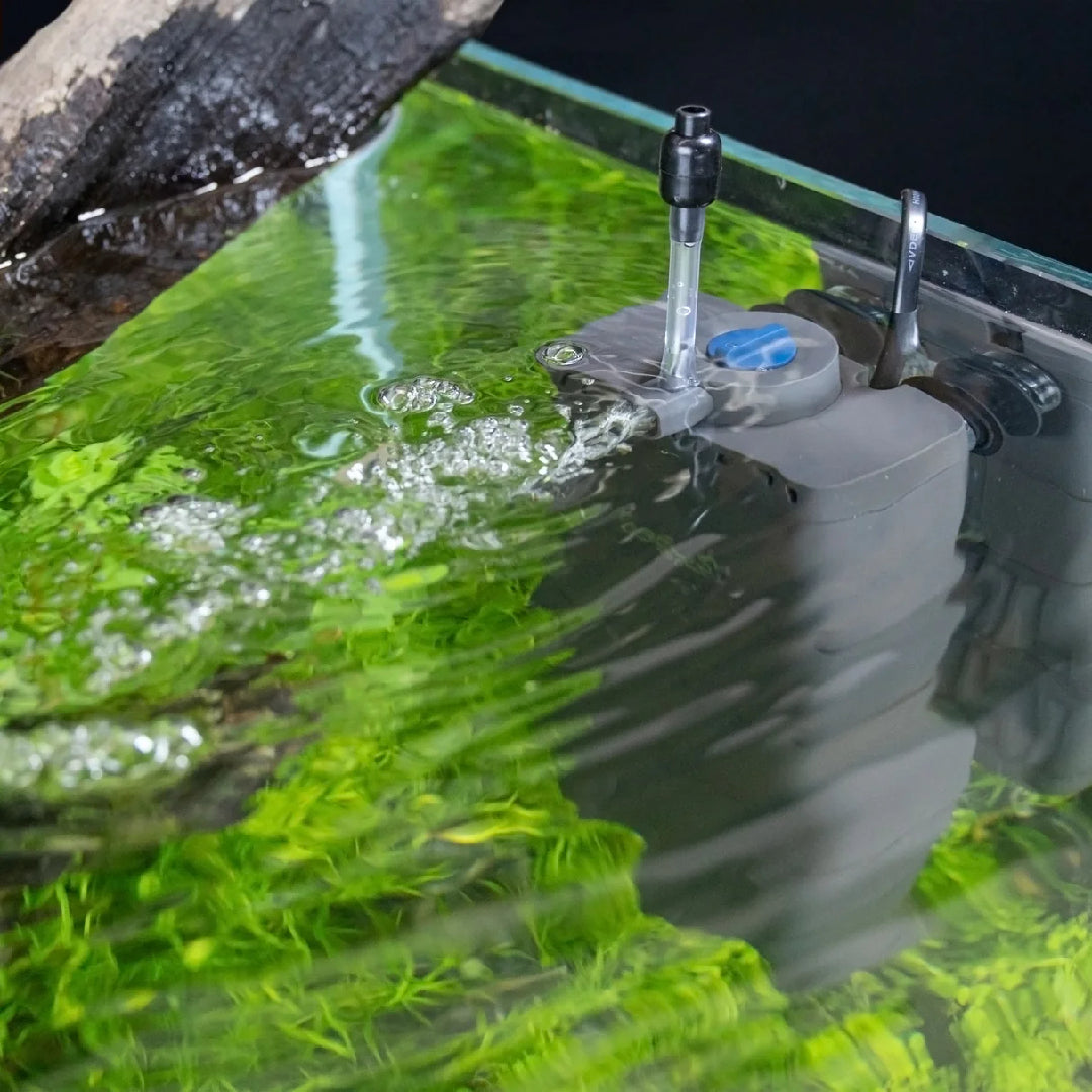 Oase EcoFlow 60