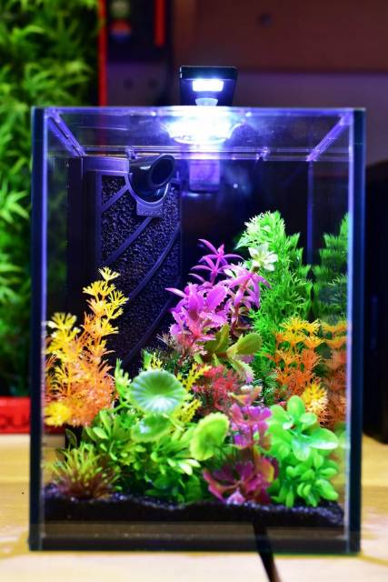 Aquatop Venti Professional Showcase Glass Aquarium Kit - 1 Gallon