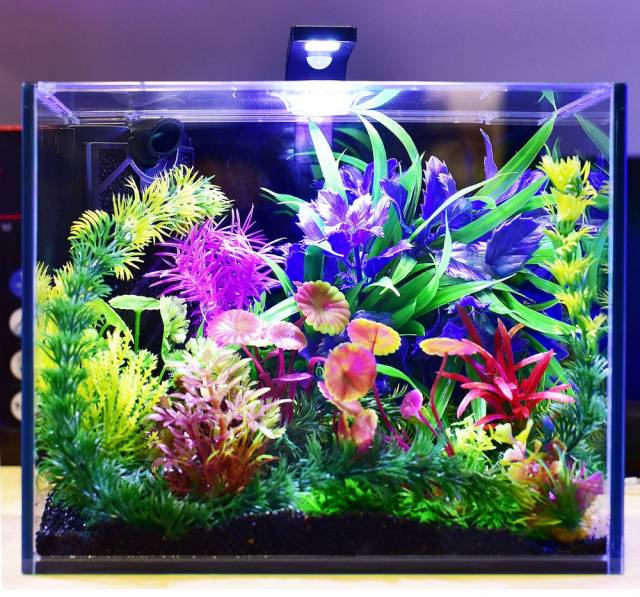 Aquatop Venti Professional Showcase Glass Aquarium Kit- 2 Gallon