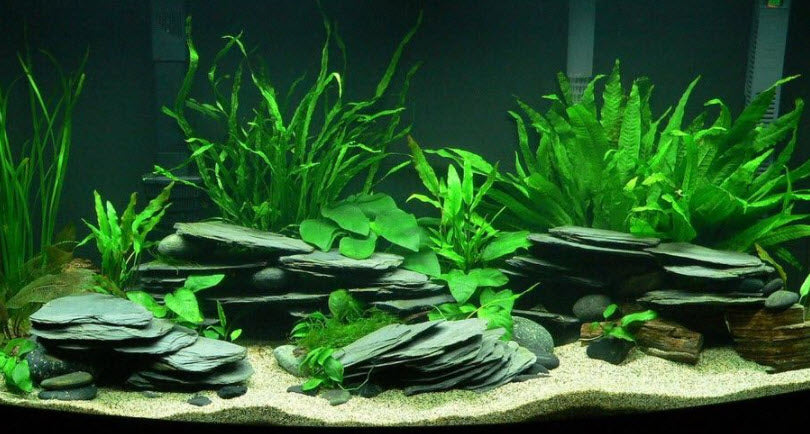 Nature's Rock Emerald Green Quartz Aquarium Stone