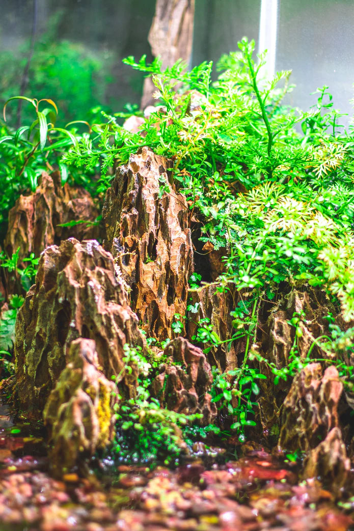 Caribsea - Dragon Stone Flat Cut Peaks