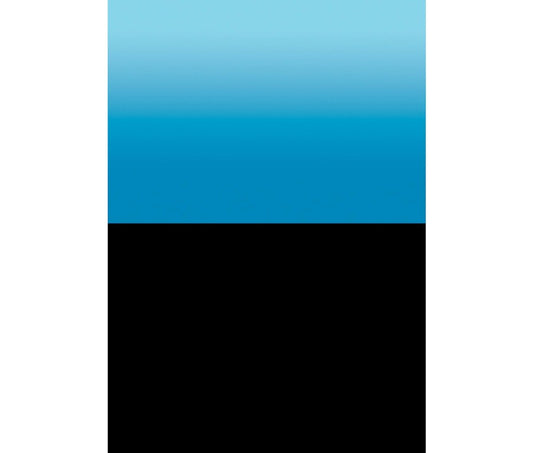 Penn-Plax Roll-A-Scene Double Sided Background - Blue & Black