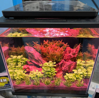 Dice Series Pico Cube Aquarium