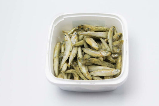 Pro Salt Silversides IQF-Individually Quick Frozen Fish Food