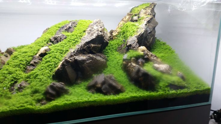 CaribSea "Mountain Stone" Seiryu Aquascaping Mountain Stones