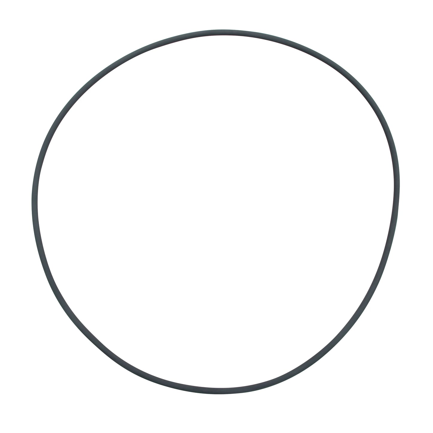 Fluval FX5/6 Filter Lid O-Ring