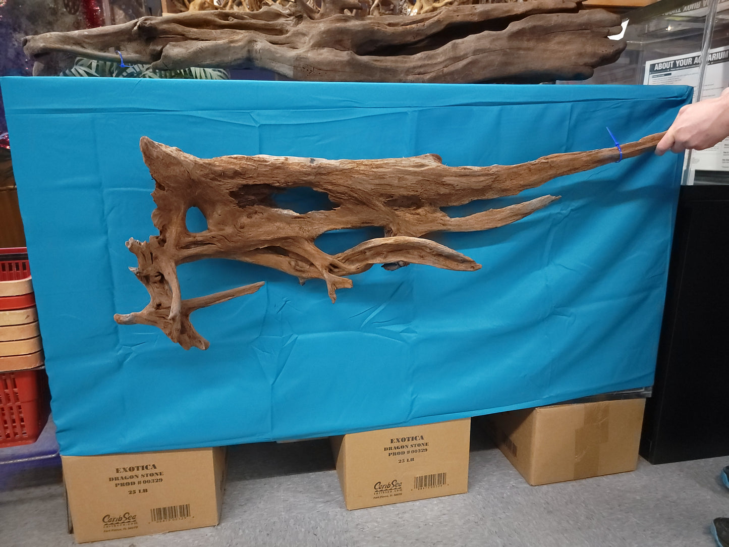 CR Ancient Red Cedar