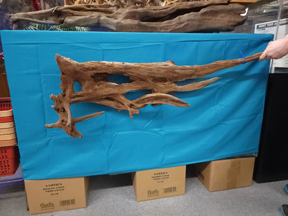 CR Ancient Red Cedar