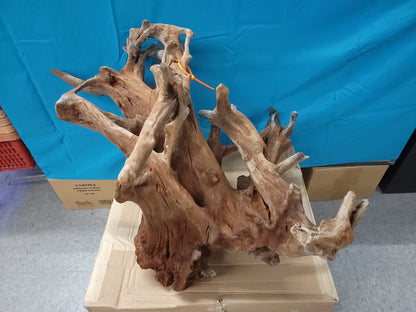 CR Ancient Red Cedar