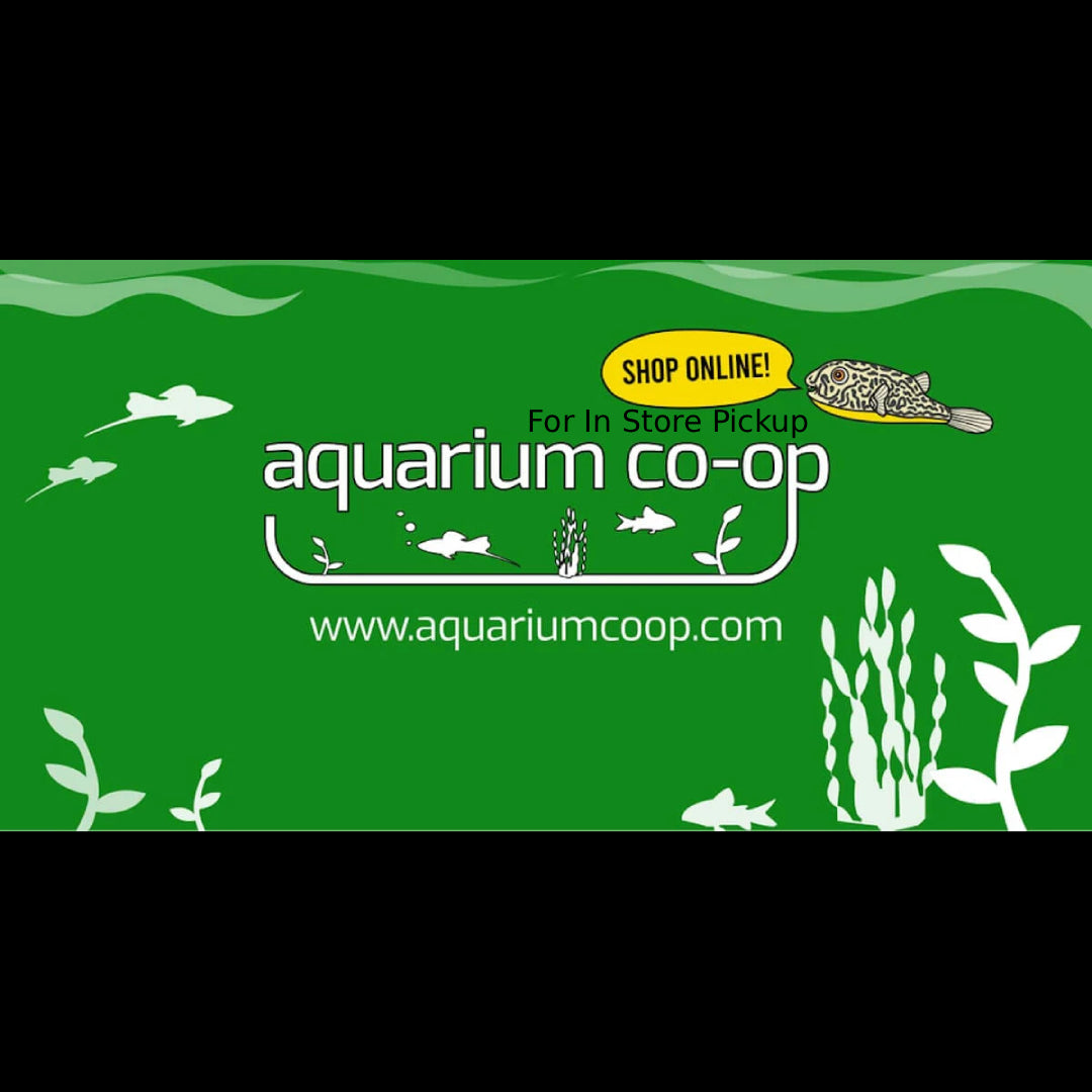 Aquarium Co-Op Check Valve
