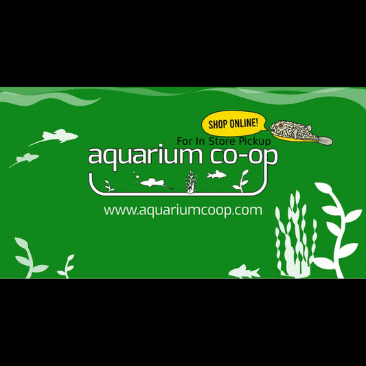 Aquarium Co-Op Multi-Test Strips