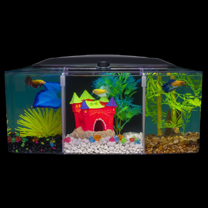 Gallon Tank Light Up Betta Fish Tank ZMULB Gallon Fish Tank, Small
