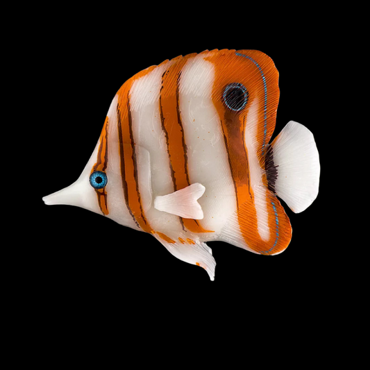 Aquatop Copperband Butterfly Fish 3.75in