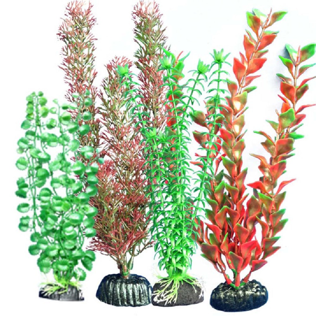 Weco Freshwater Plant Multipack 104