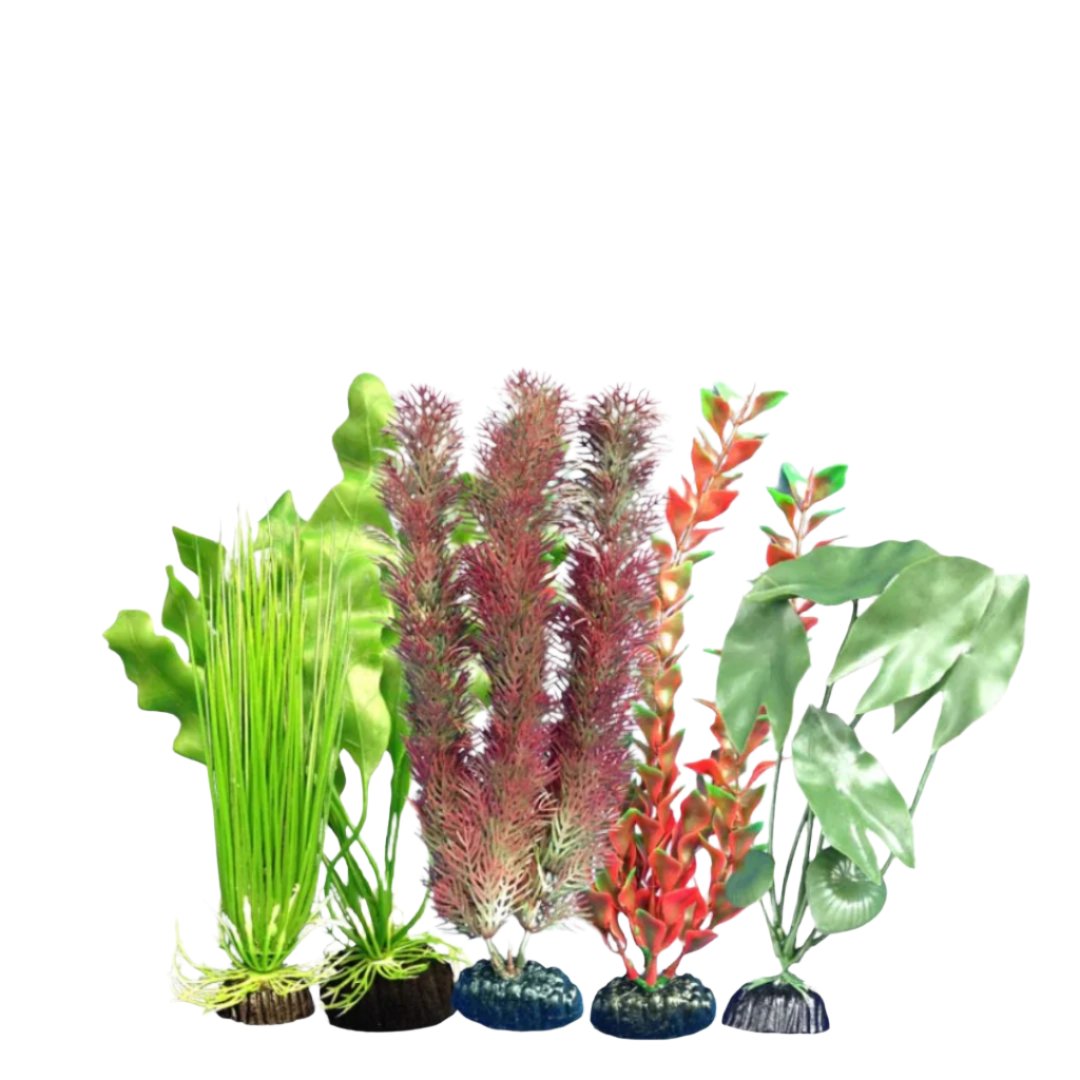 Weco Freshwater Plant Multipack 105