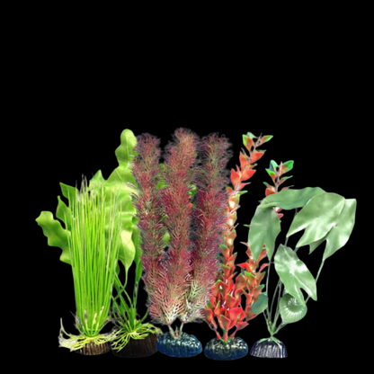 Weco Freshwater Plant Multipack 105