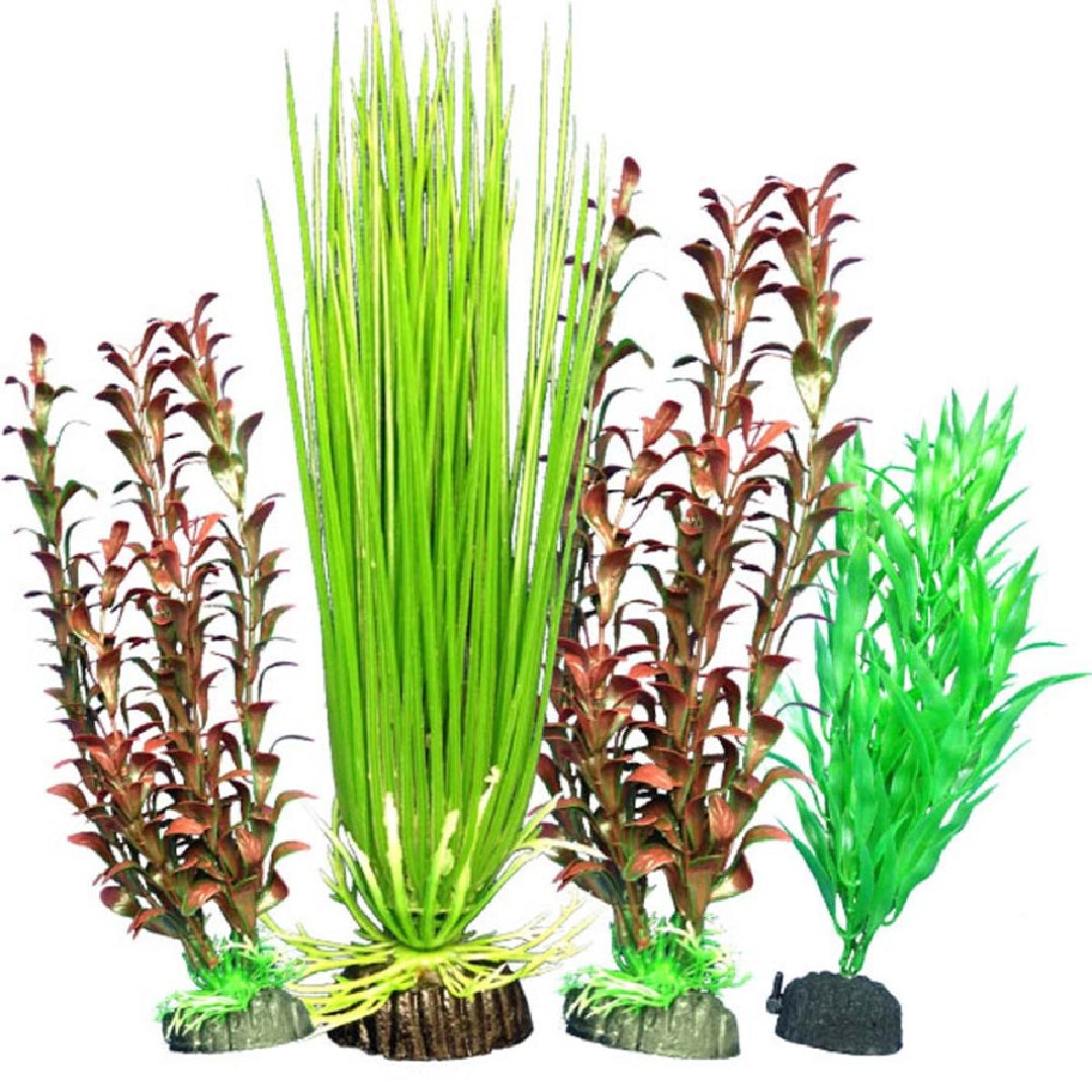 Weco Freshwater Plant Multipack 106