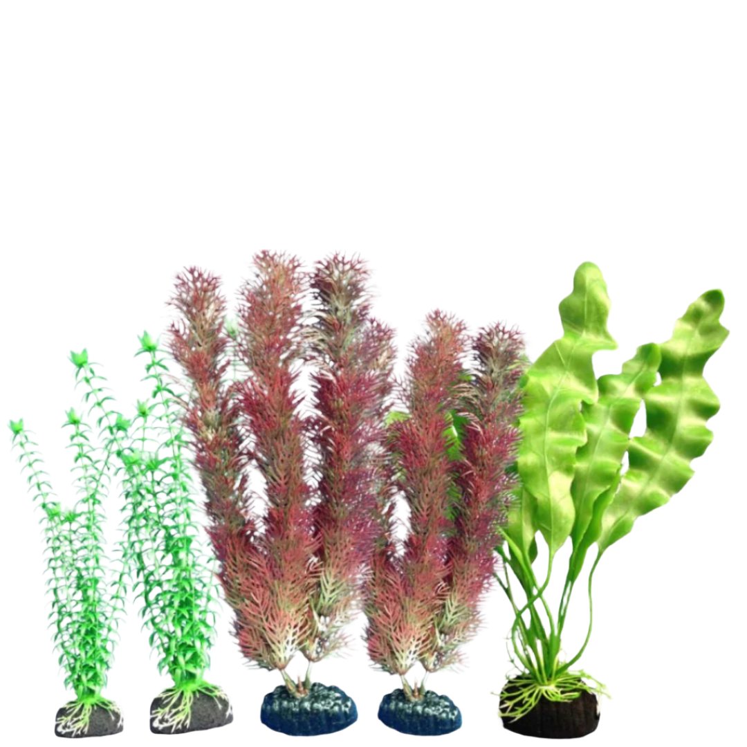 Weco Freshwater Plant Multipack 108