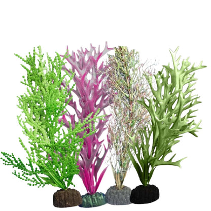 Weco Freshwater Plant Multipack 109